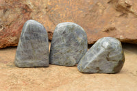 Polished Beautiful Selection Of Labradorite Standing Free Forms  x 5 From Tulear, Madagascar - TopRock