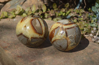 Polished Septaria Spheres x 2 From Mahajanga, Madagascar