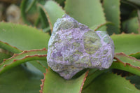 Natural Rough Stichtite & Serpentine Specimens x 4 From Barberton, South Africa