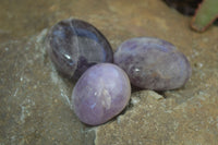 Polished Amethyst Galet / Palm Stones x 12 From Madagascar