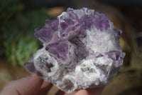 Natural Sugar Amethyst Clusters  x 6 From Solwezi, Zambia