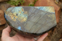 Polished Labradorite Standing Free Form With A Full Face Flash x 1 From Tulear, Madagascar - TopRock