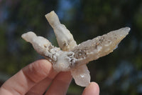 Natural Drusy Quartz Coated Calcite Crystals  x 12 From Alberts Mountain, Lesotho - Toprock Gemstones and Minerals 