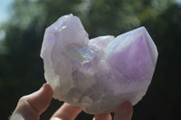 Natural Jacaranda Amethyst Clusters  x 3 From Mumbwa, Zambia - Toprock Gemstones and Minerals 