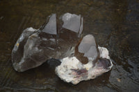 Natural Smokey Quartz Crystal Specimens x 12 From Mulanje, Malawi