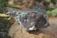 Natural Drusy Coated Ball Malachite On Dolomite Specimens x 2 From Likasi, Congo