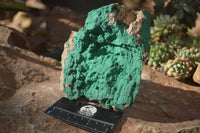 Natural Micro Botryoidal Crystalline Malachite Specimens  x 2 From Congo