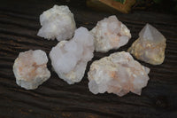 Natural White Cactus Flower Spirit Quartz Specimens x 6 From Boekenhouthoek, South Africa