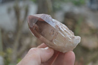 Natural Red Hematoid Quartz Specimens x 12 From Karoi, Zimbabwe