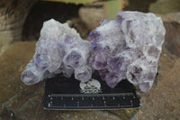 Natural Sugar Amethyst Clusters  x 6 From Solwezi, Zambia