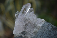 Natural Clear Quartz Matrix Specimens  x 6 From Brandberg, Namibia - Toprock Gemstones and Minerals 