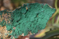 Natural Micro Botryoidal Crystalline Malachite Specimens  x 2 From Congo