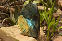 Polished Labradorite Standing Free Form With A Full Face Flash x 1 From Tulear, Madagascar - TopRock