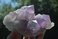 Natural Jacaranda Amethyst Clusters x 2 From Mumbwa, Zambia - TopRock