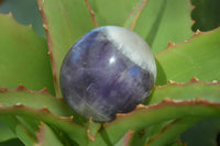 Polished Amethyst Galet / Palm Stones x 12 From Madagascar