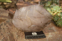 Polished Double Terminated Smokey Quartz Stepped Crystal x 1 From Madagascar