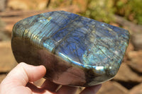 Polished Labradorite Standing Free Forms With Intense Blue & Gold Flash x 2 From Sakoany, Madagascar - TopRock