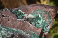 Natural Drusy Coated Ball Malachite On Dolomite Specimens x 2 From Likasi, Congo