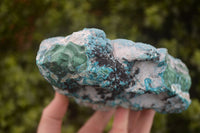 Natural Blue Chrysocolla On Silky Malachite Matrix Specimen  x 1 From Kulukuluku, Congo - Toprock Gemstones and Minerals 