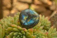 Polished Flashy Labradorite Palm Stones  x 24 From Tulear, Madagascar - TopRock