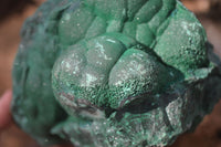 Natural Chatoyant Malachite On Matrix Specimen  x 1 From Congo