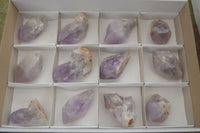 Natural Single Jacaranda Amethyst Crystals  x 12 From Zambia - Toprock Gemstones and Minerals 