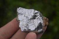 Natural Silver Lead Galena Specimens  - Sold per 1 kg - From Kaokoveld, Namibia - TopRock