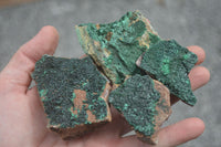 Natural Micro Botryoidal Crystalline Malachite Specimens  x 19 From Tenke Fungurume, Congo - TopRock