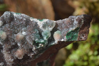 Natural Drusy Coated Ball Malachite On Dolomite Specimens x 2 From Likasi, Congo