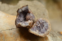 Natural Amethyst & Basalt Geode Specimens  x 24 From Zululand, South Africa - TopRock