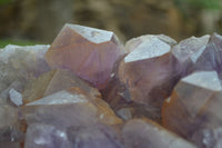 Natural Jacaranda Amethyst Cluster x 1 From Mumbwa, Zambia - TopRock