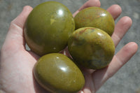 Polished Green Opal Palm Stones  x 12 From Madagascar - Toprock Gemstones and Minerals 