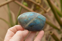 Polished Beautiful Selection Of Labradorite Standing Free Forms  x 5 From Tulear, Madagascar - TopRock