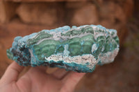 Natural Blue Chrysocolla On Silky Malachite Matrix Specimen  x 1 From Kulukuluku, Congo - Toprock Gemstones and Minerals 