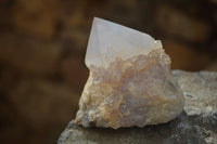 Natural White Cactus Flower Spirit Quartz Specimens x 6 From Boekenhouthoek, South Africa