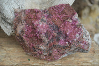 Natural Extra Large Salrose Cobaltion Dolomite Specimens x 2 From Kakanda, Congo - Toprock Gemstones and Minerals 