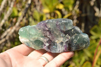 Natural Rough Watermelon Fluorite Cobbed Specimens  x 4 From Uis, Namibia - TopRock