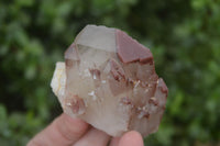 Natural Red Hematoid Quartz Specimens x 12 From Karoi, Zimbabwe