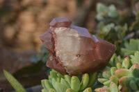 Natural Red Hematoid Quartz Specimens x 12 From Karoi, Zimbabwe