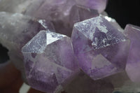 Natural Jacaranda Amethyst Clusters x 2 From Mumbwa, Zambia - TopRock