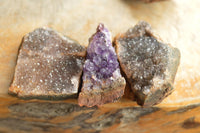 Natural Amethyst & Basalt Geode Specimens  x 24 From Zululand, South Africa - TopRock