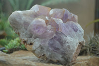 Natural Jacaranda Amethyst Cluster x 1 From Mumbwa, Zambia - TopRock