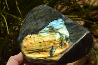 Polished Labradorite Standing Free Form With A Full Face Flash x 1 From Tulear, Madagascar - TopRock