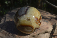 Polished Septaria Spheres x 2 From Mahajanga, Madagascar