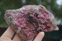 Natural Extra Large Salrose Cobaltion Dolomite Specimens x 2 From Kakanda, Congo - Toprock Gemstones and Minerals 