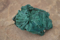 Natural Chatoyant Silky Malachite Specimens  x 6 From Kasompe, Congo - TopRock