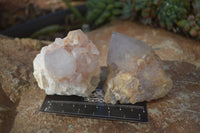 Natural White Cactus Flower Spirit Quartz Specimens x 6 From Boekenhouthoek, South Africa