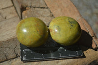 Polished Green Opal Palm Stones  x 12 From Madagascar - Toprock Gemstones and Minerals 