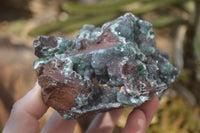 Natural Drusy Coated Ball Malachite On Dolomite Specimens x 2 From Likasi, Congo