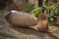 Natural Red Hematoid Quartz Specimens x 12 From Karoi, Zimbabwe